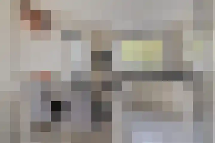 Pater Dehonlaan 25 Bergen op Zoom thumbnail 6