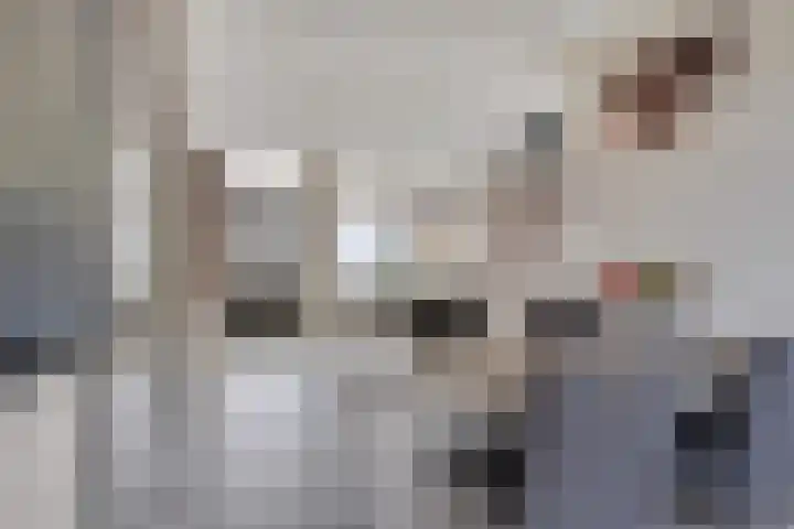 Pater Dehonlaan 25 Bergen op Zoom thumbnail 7