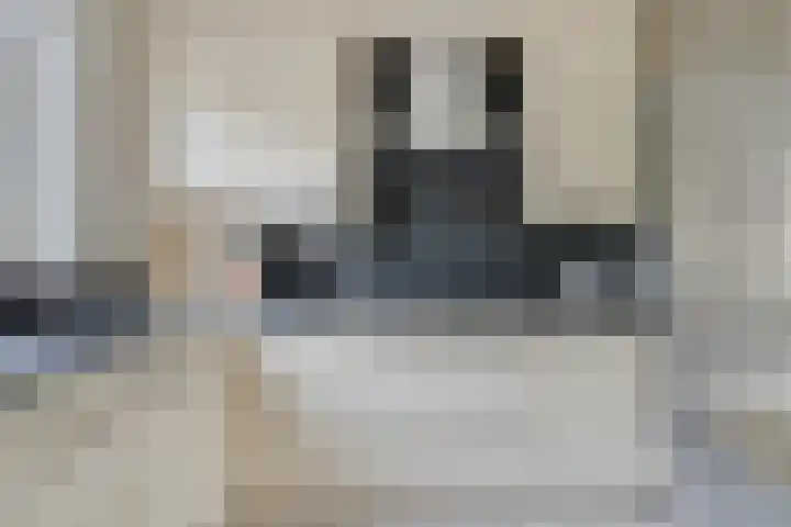 Pater Dehonlaan 25 Bergen op Zoom thumbnail 8