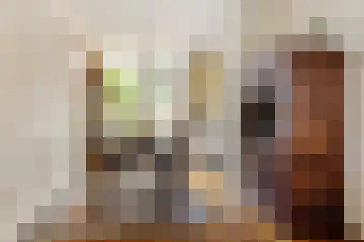 Pater Dondersstraat 14 Panningen thumbnail 12
