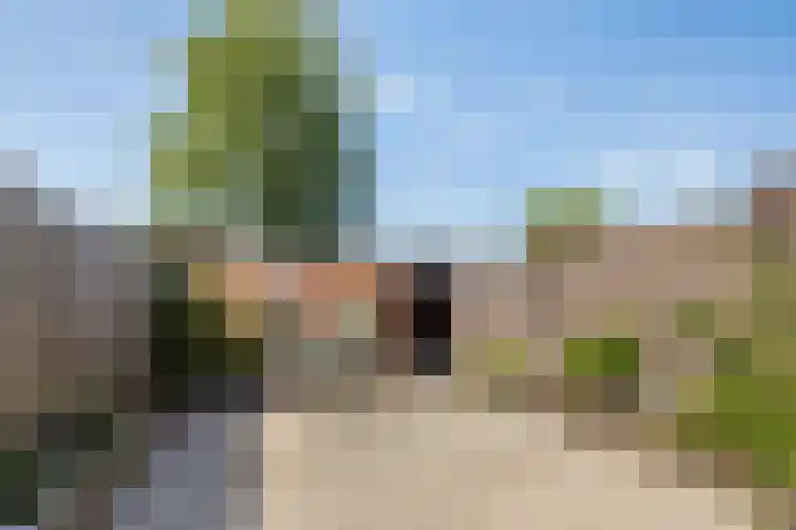Pater Dondersstraat 14 Panningen thumbnail 33