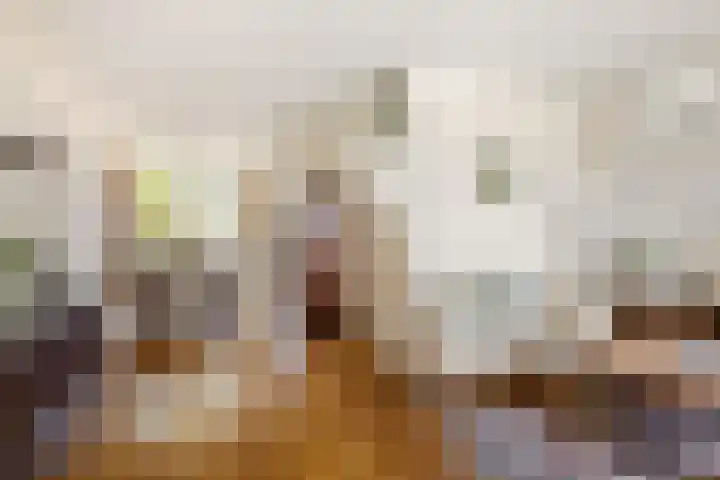 Pater Dondersstraat 14 Panningen thumbnail 6