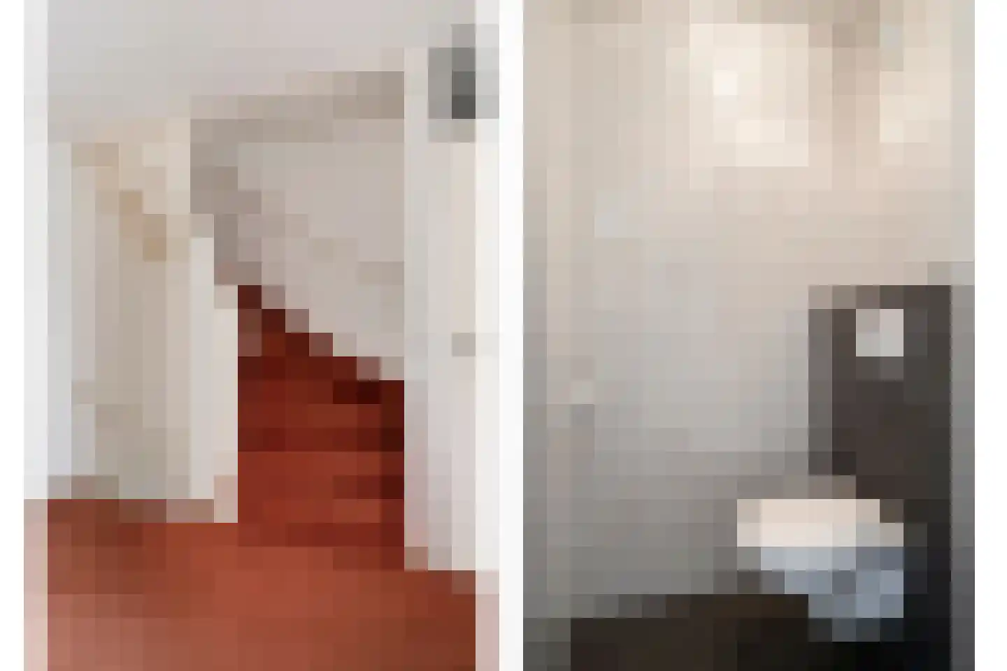 Pater Dr. Loffeldstraat 26 Gemert thumbnail 17