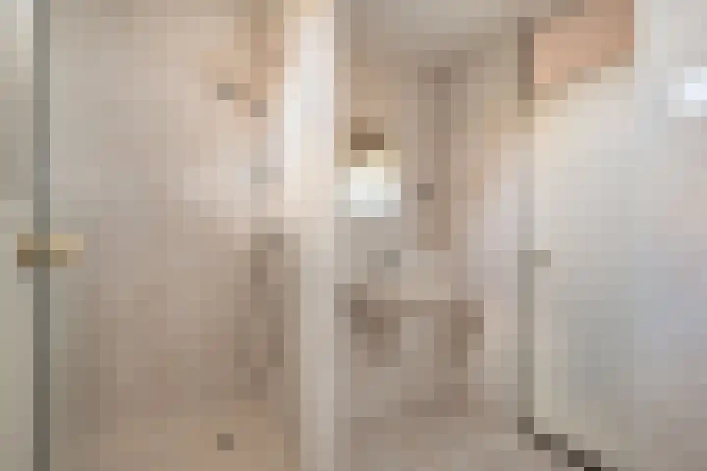 Pater Dr. Loffeldstraat 26 Gemert thumbnail 22