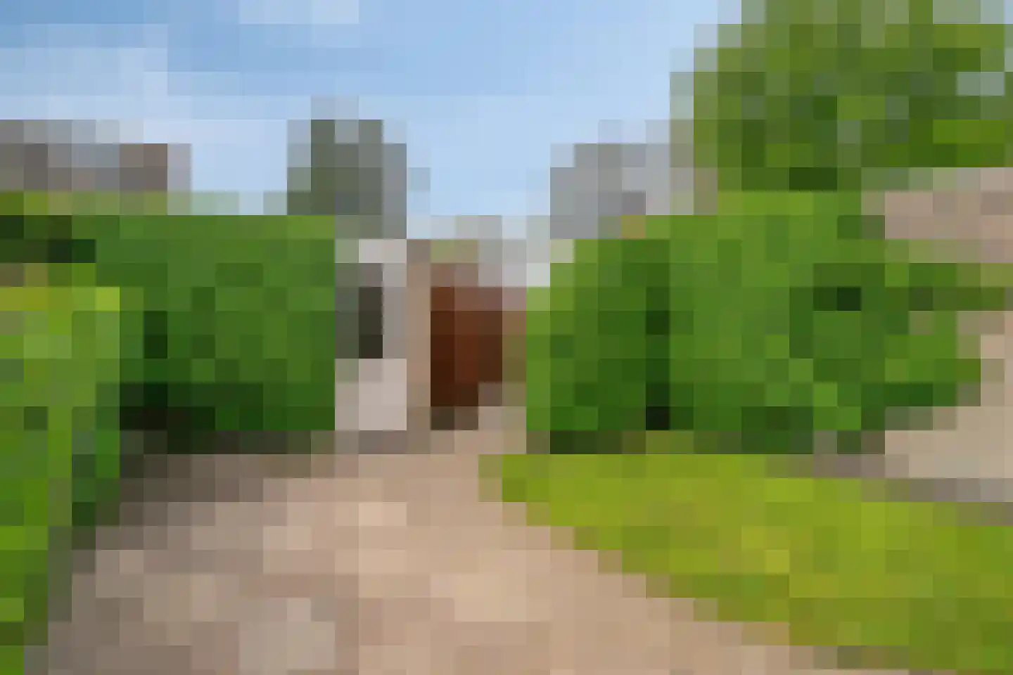 Pater Dr. Loffeldstraat 26 Gemert thumbnail 31