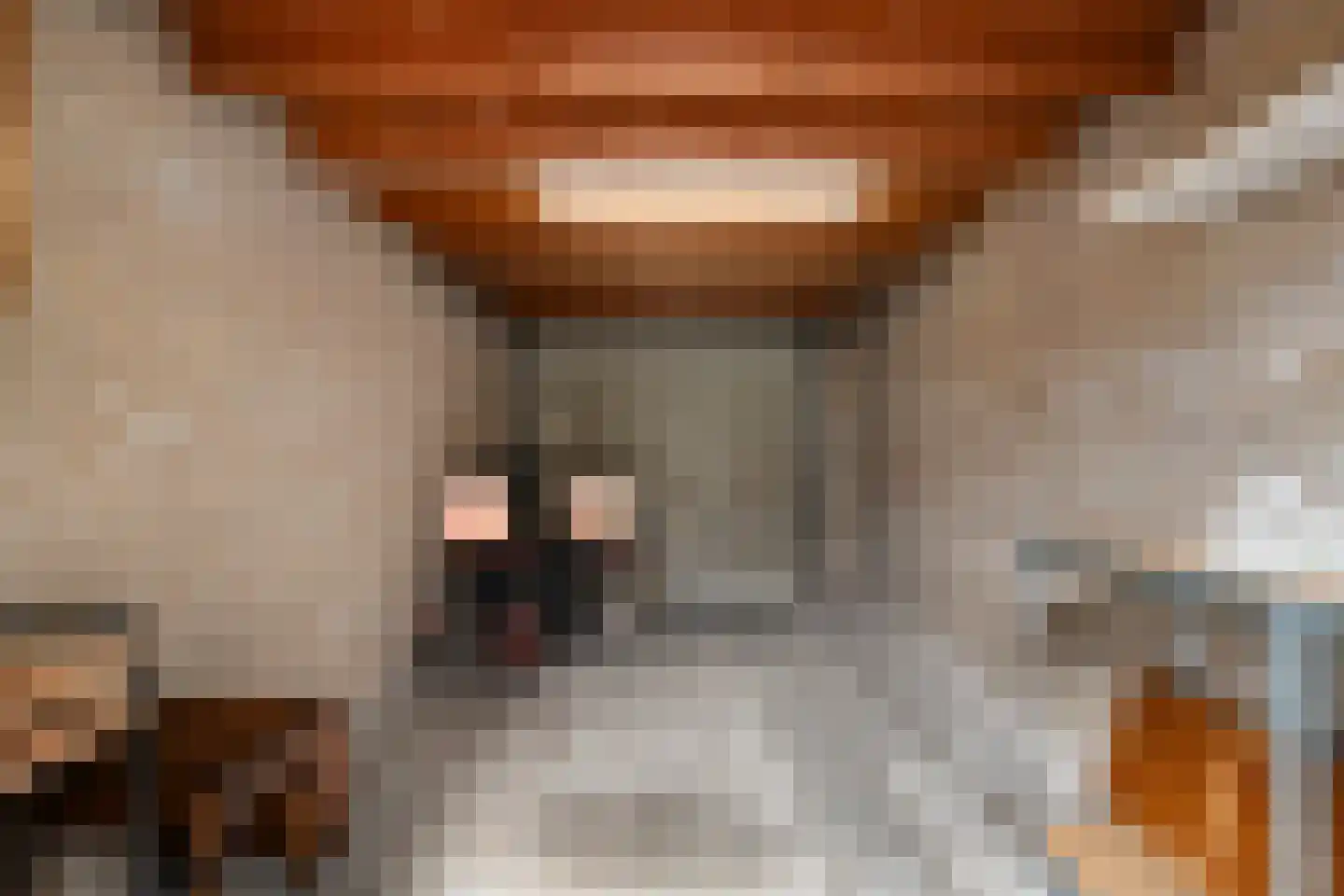 Pater Dr. Loffeldstraat 26 Gemert thumbnail 34