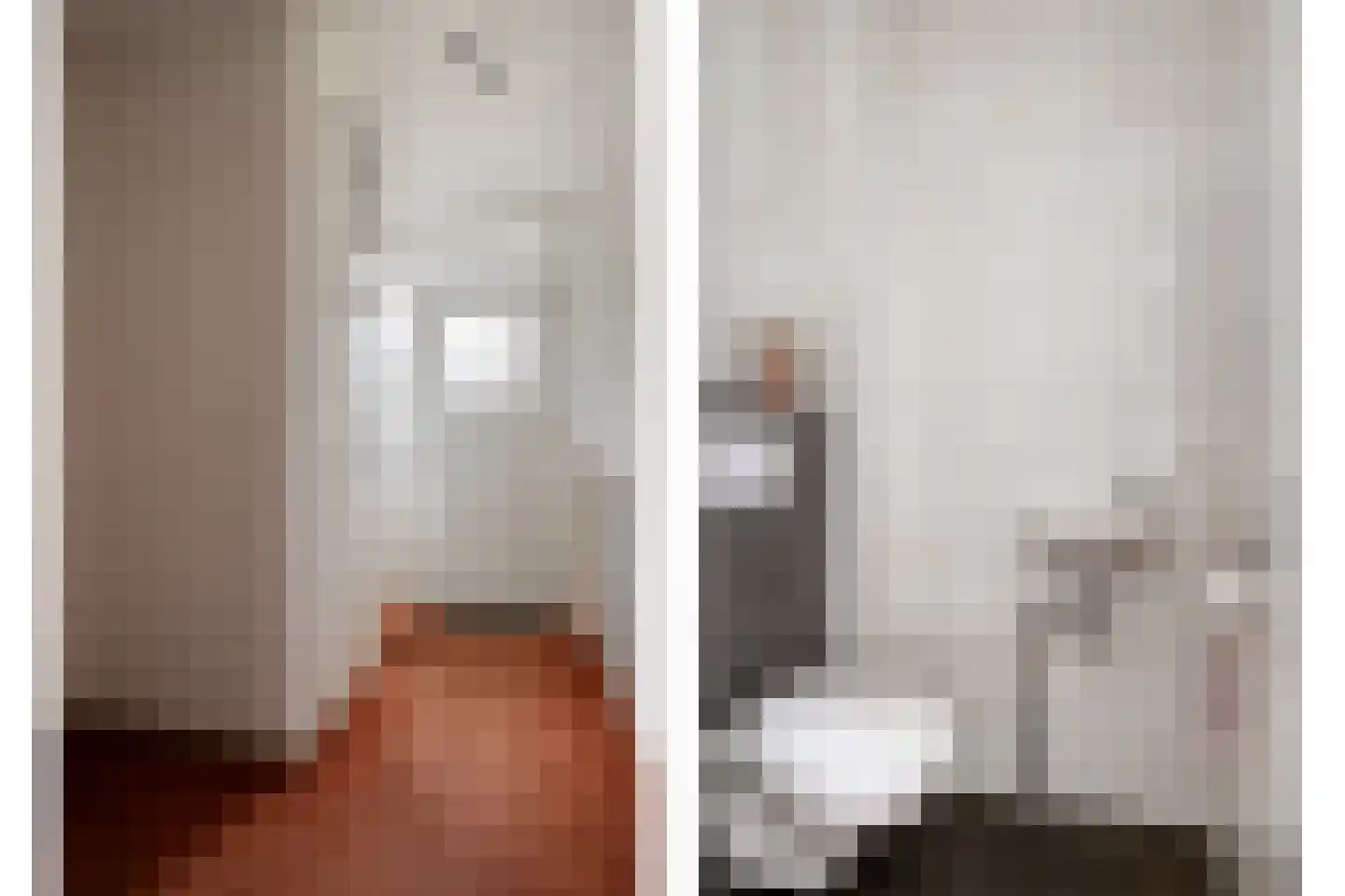 Pater Dr. Loffeldstraat 26 Gemert thumbnail 8