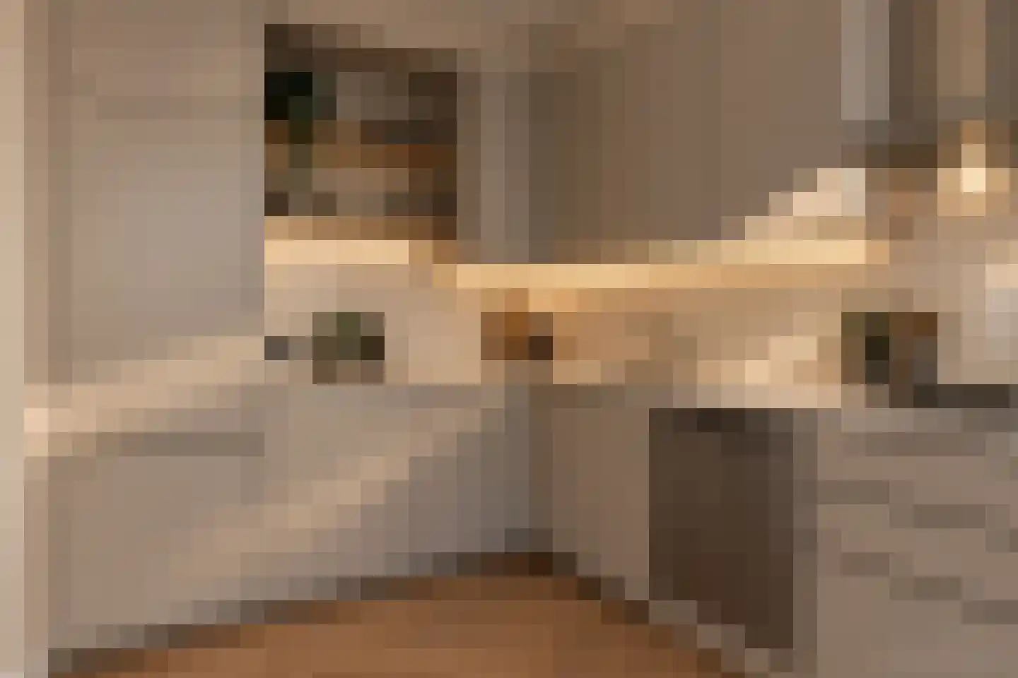 Pater Dr. Loffeldstraat 3 Gemert thumbnail 10