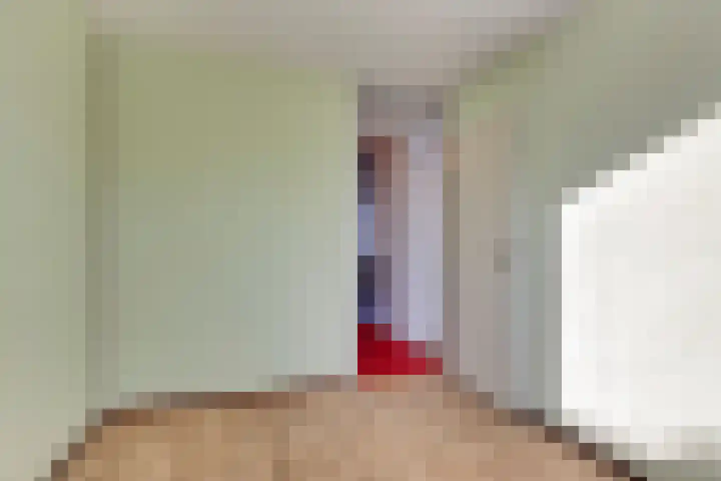 Pater Dr. Loffeldstraat 3 Gemert thumbnail 11