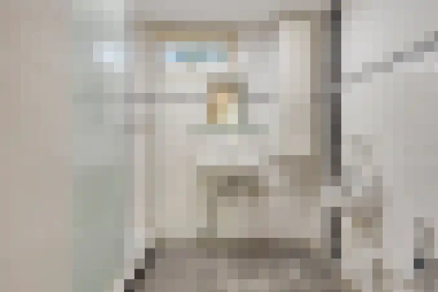 Pater Dr. Loffeldstraat 3 Gemert thumbnail 21
