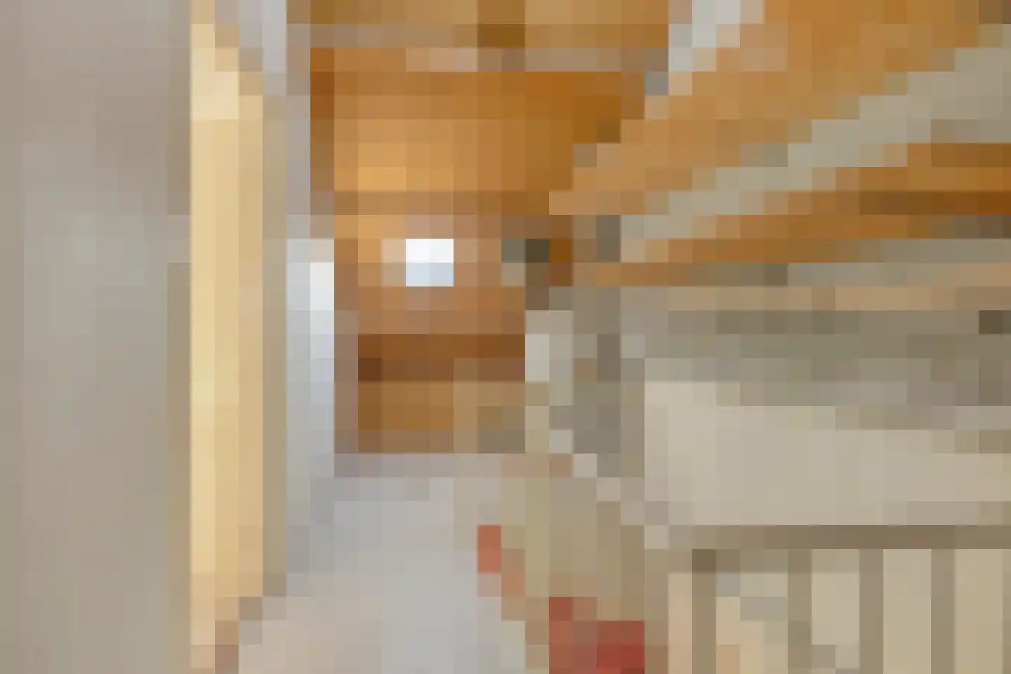 Pater Dr. Loffeldstraat 3 Gemert thumbnail 22