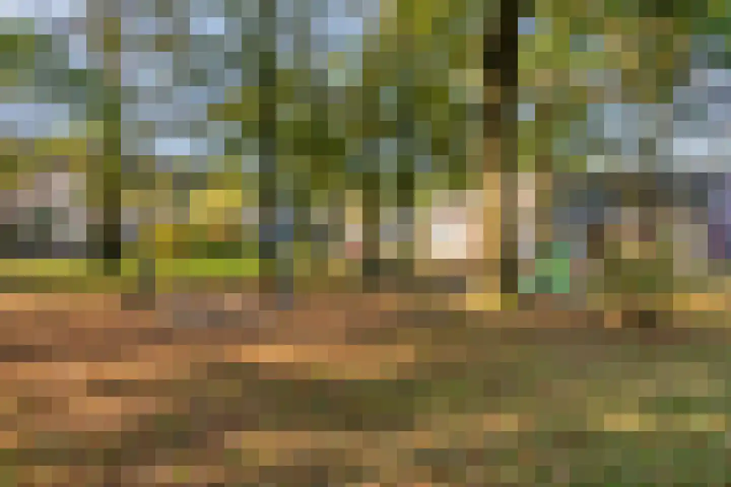 Pater Dr. Loffeldstraat 3 Gemert thumbnail 33