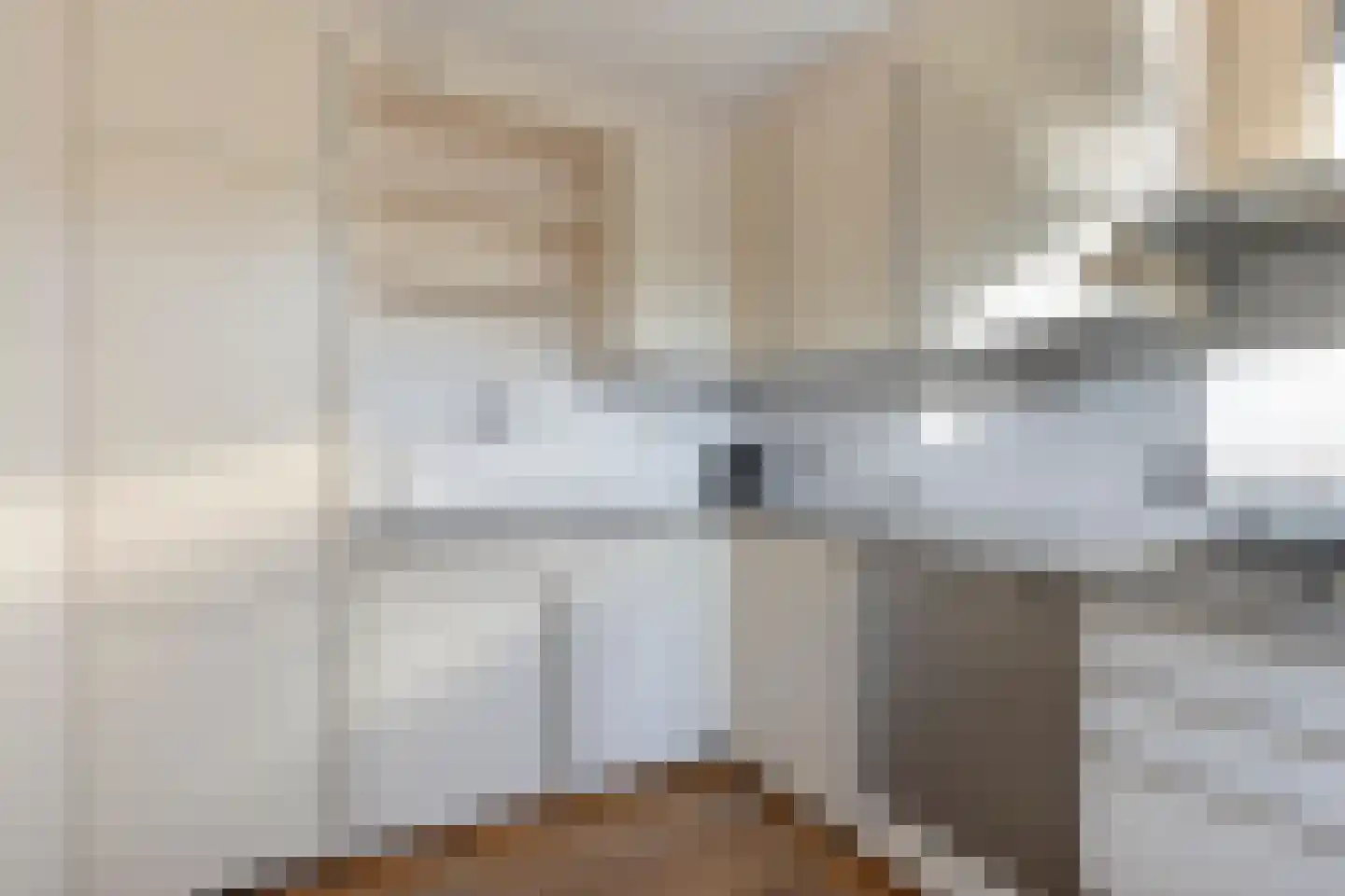 Pater Dr. Loffeldstraat 3 Gemert thumbnail 4