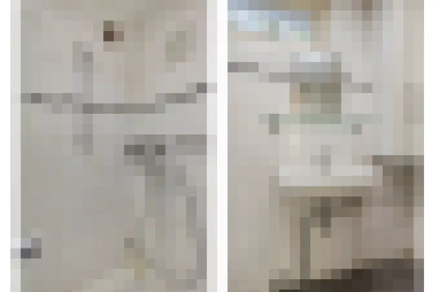 Pater Dr. Loffeldstraat 3 Gemert thumbnail 6