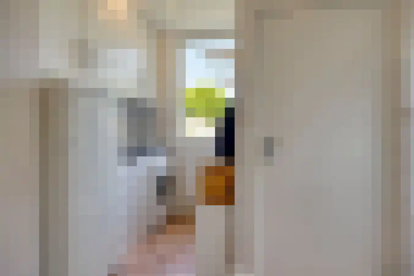 Pater Dr. Loffeldstraat 48 Gemert thumbnail 13