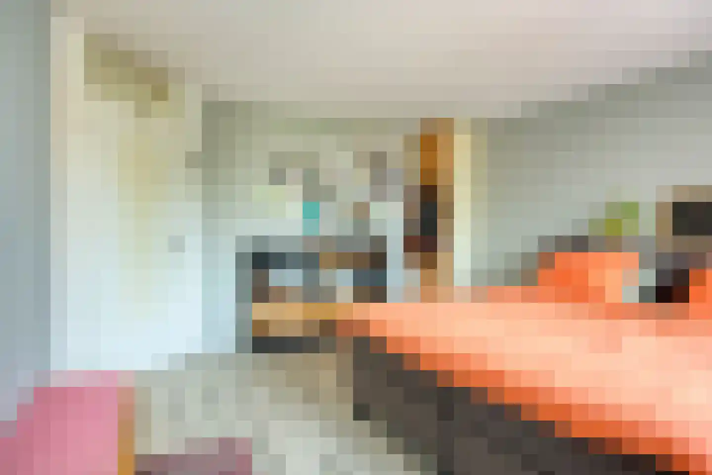 Pater Dr. Loffeldstraat 48 Gemert thumbnail 18