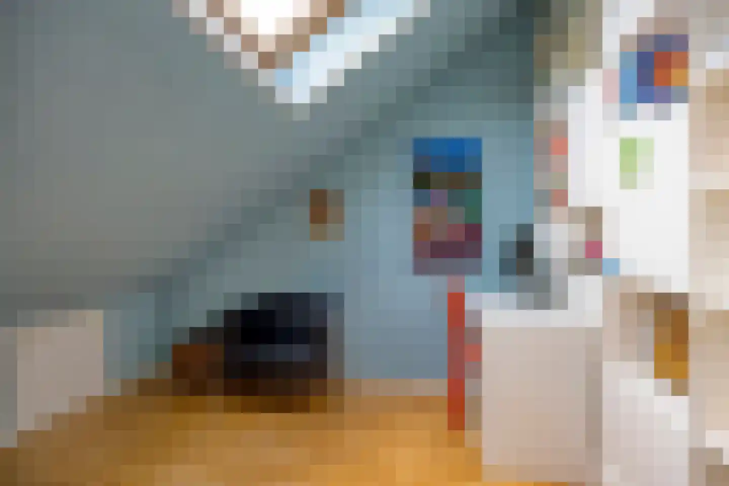 Pater Dr. Loffeldstraat 48 Gemert thumbnail 28