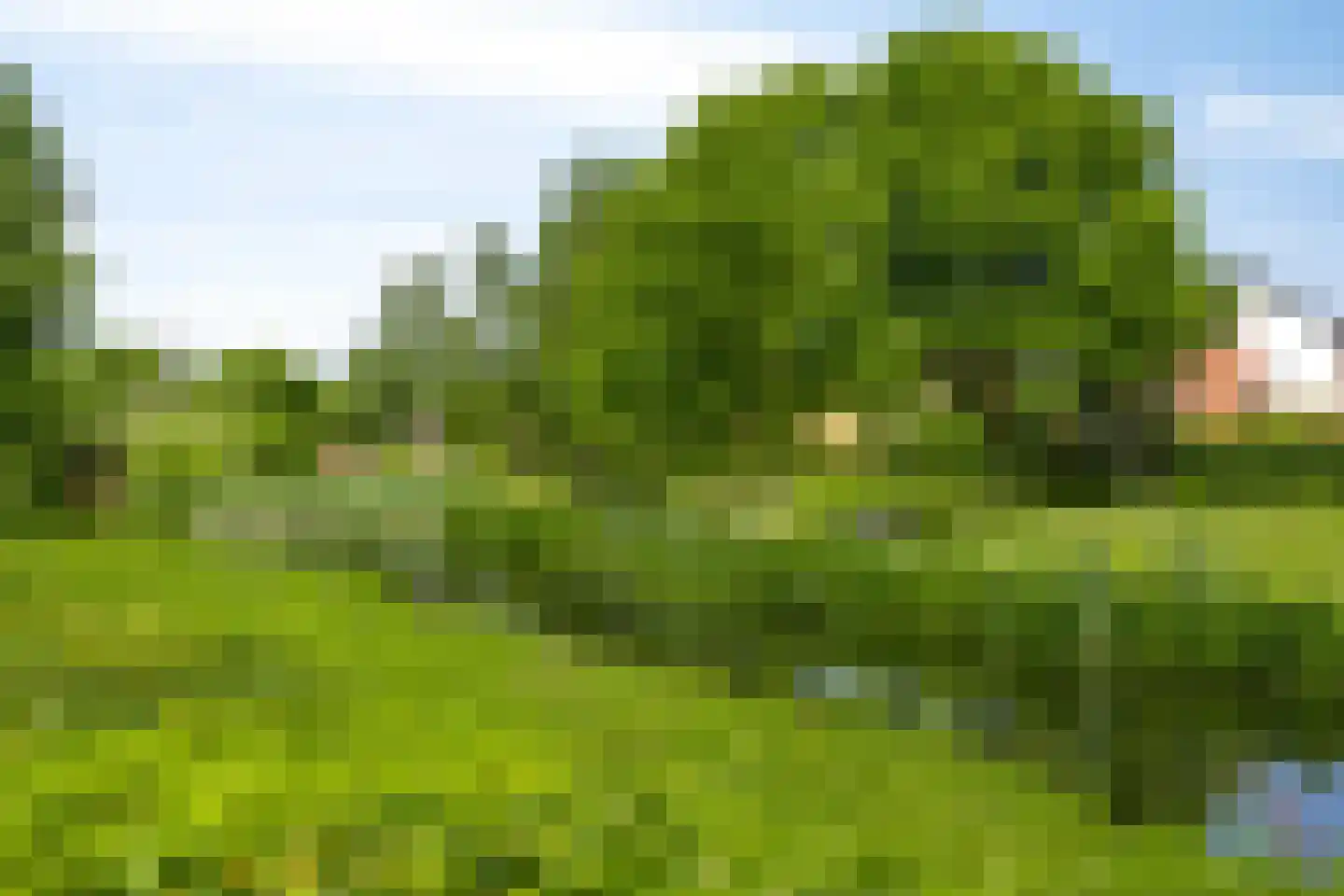 Pater Dr. Loffeldstraat 48 Gemert thumbnail 39