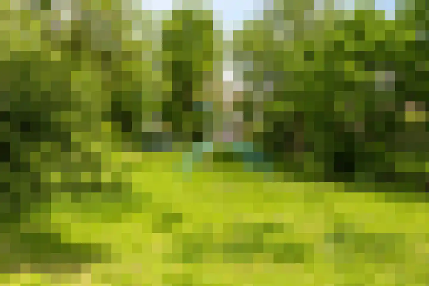 Pater Dr. Loffeldstraat 48 Gemert thumbnail 41