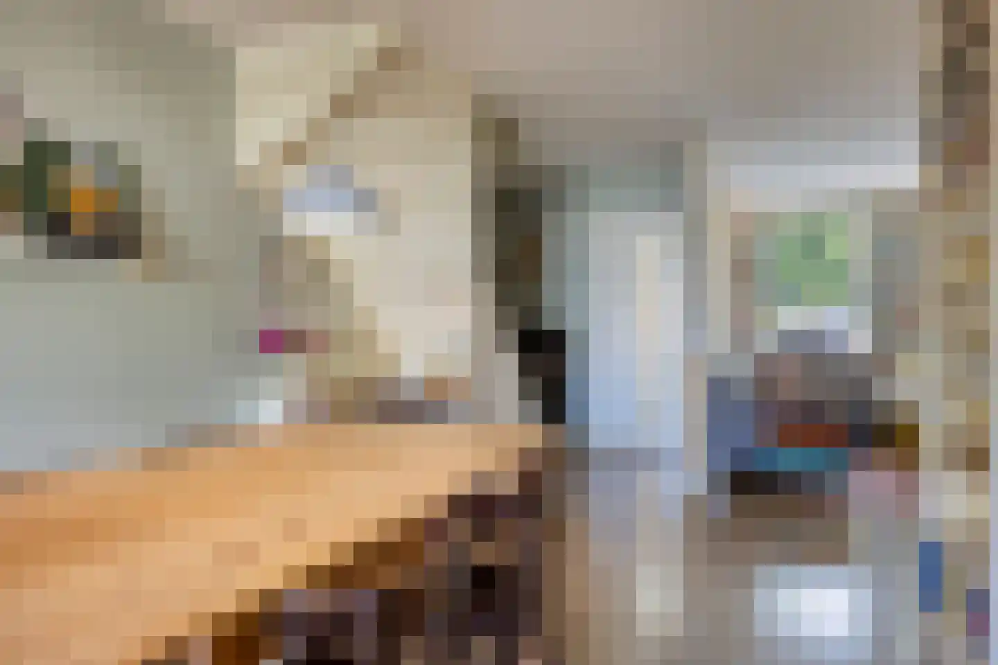 Pater Dr. Loffeldstraat 48 Gemert thumbnail 6