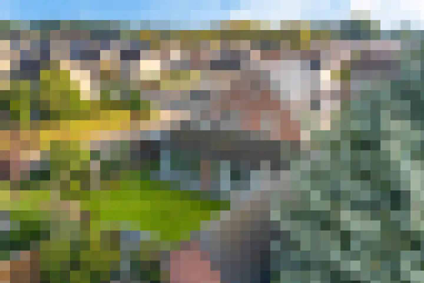 Pater Dr. Neijensstraat 11 Heel thumbnail 15