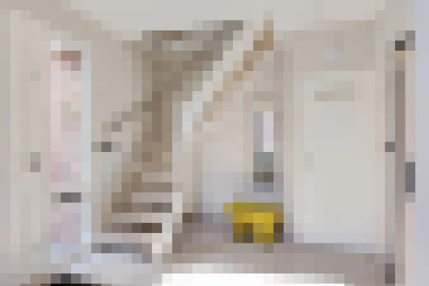 Pater Dr. Neijensstraat 11 Heel thumbnail 17