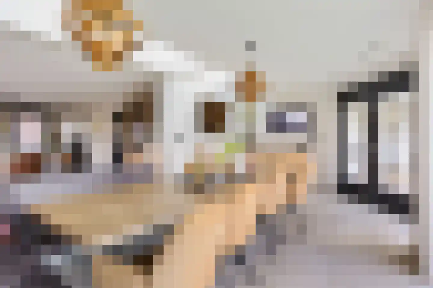 Pater Dr. Neijensstraat 11 Heel thumbnail 24