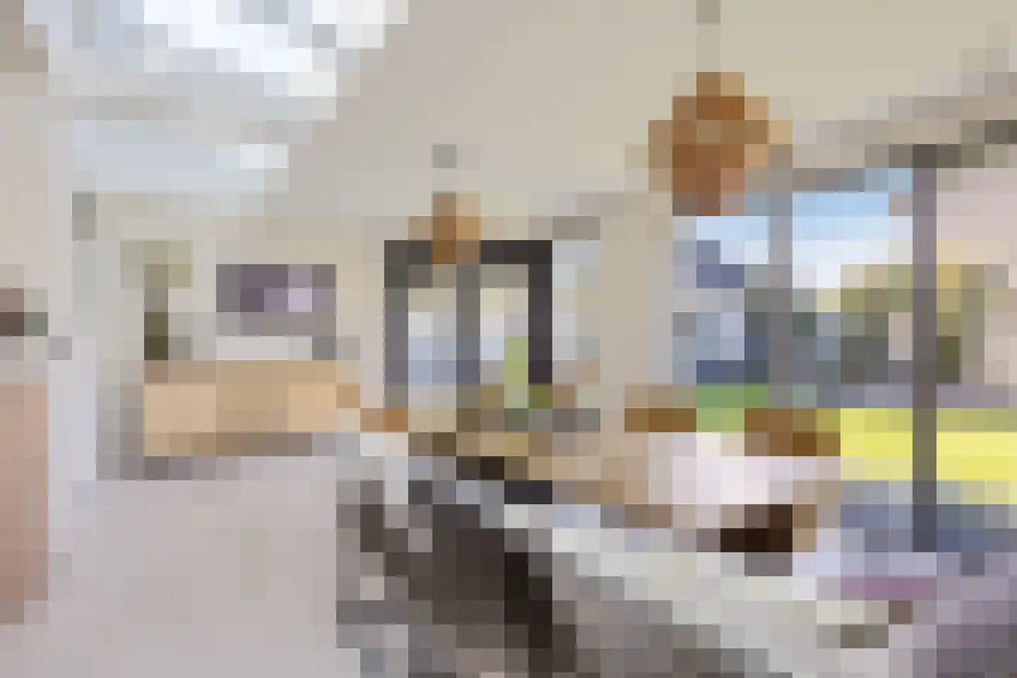 Pater Dr. Neijensstraat 11 Heel thumbnail 25