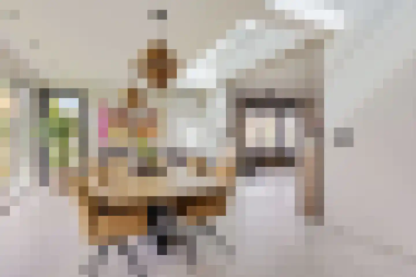 Pater Dr. Neijensstraat 11 Heel thumbnail 5