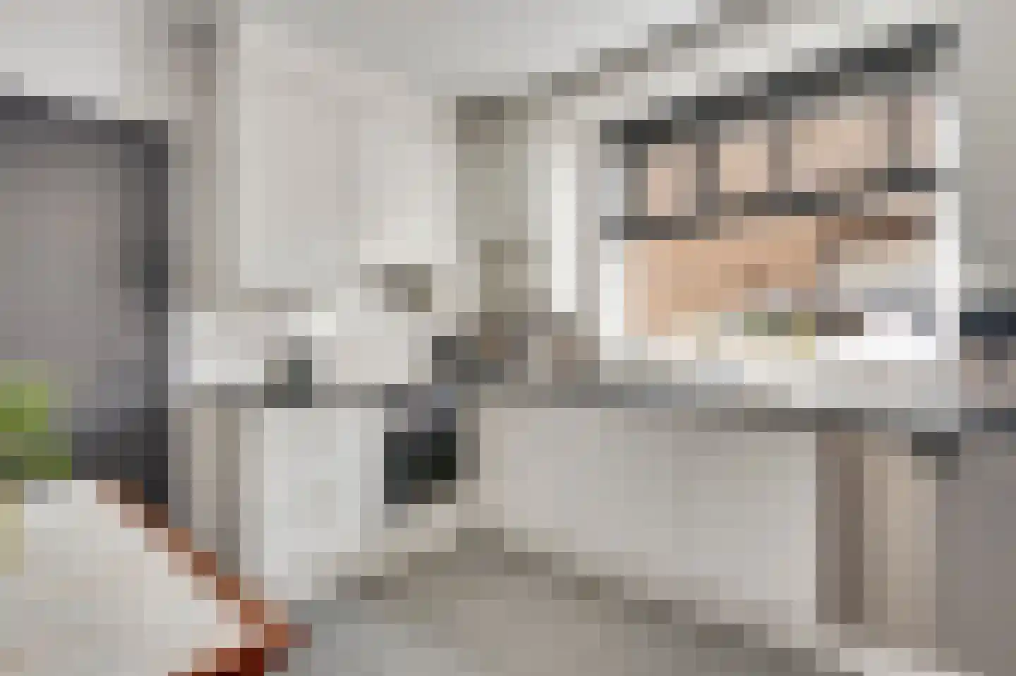 Pater Dr. Neijensstraat 21 Heel thumbnail 10