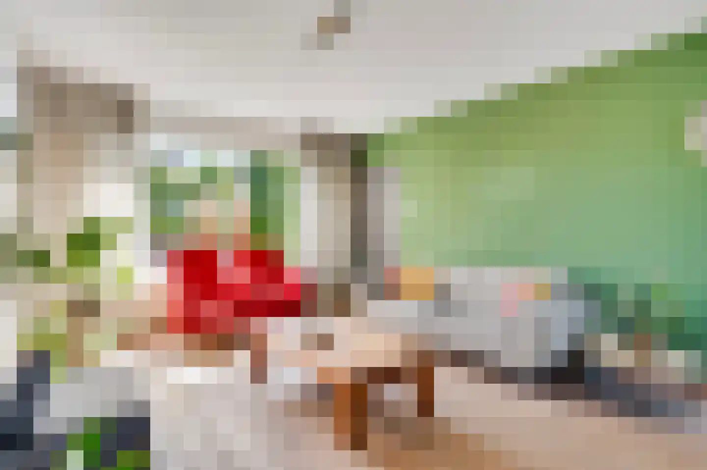 Pater Dr. Neijensstraat 21 Heel thumbnail 13