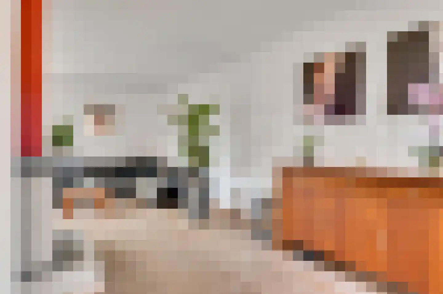 Pater Dr. Neijensstraat 21 Heel thumbnail 17
