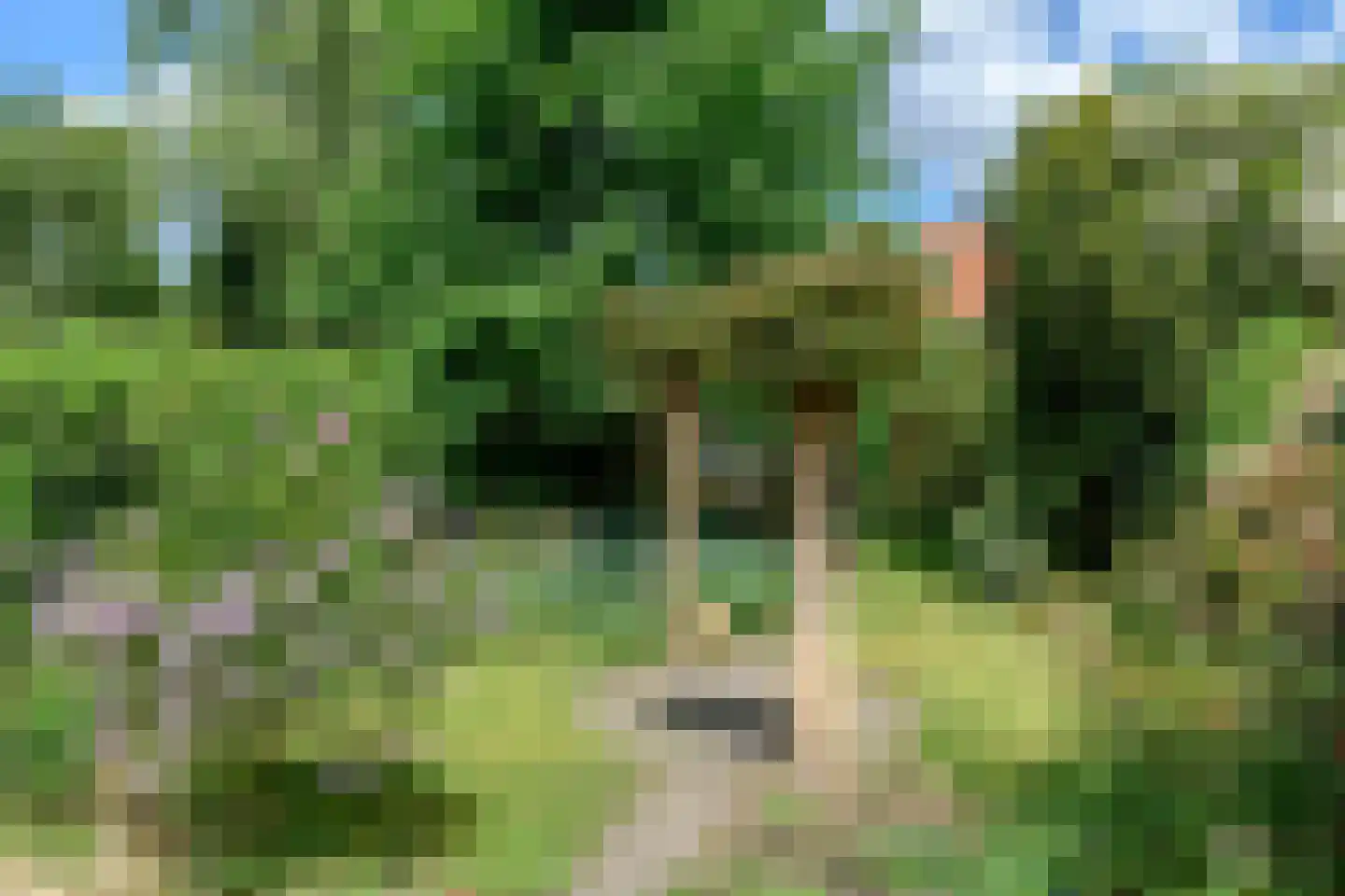 Pater Eijmardweg 30 Nijmegen thumbnail 34