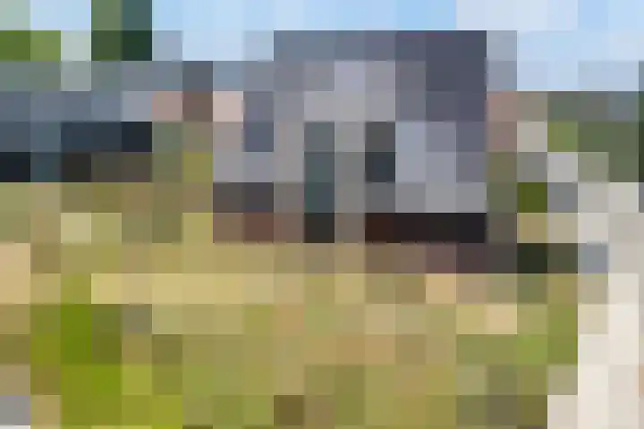 Pater Gelissenstraat 36 Vijlen thumbnail 43
