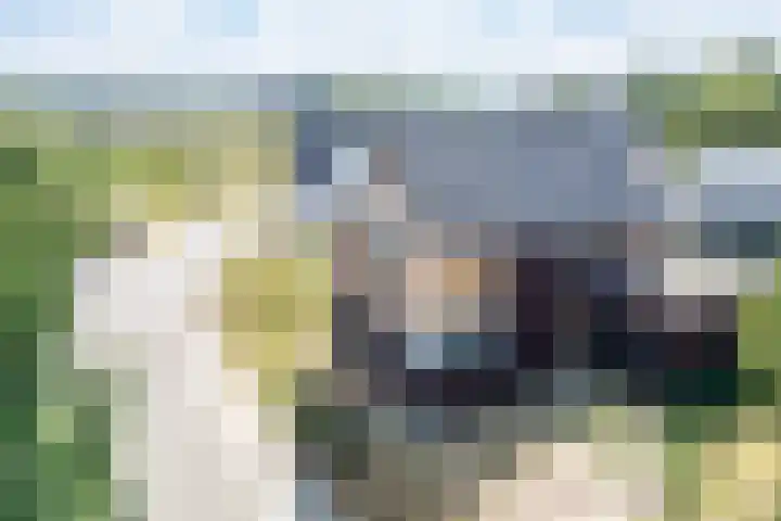 Pater Gelissenstraat 36 Vijlen thumbnail 53