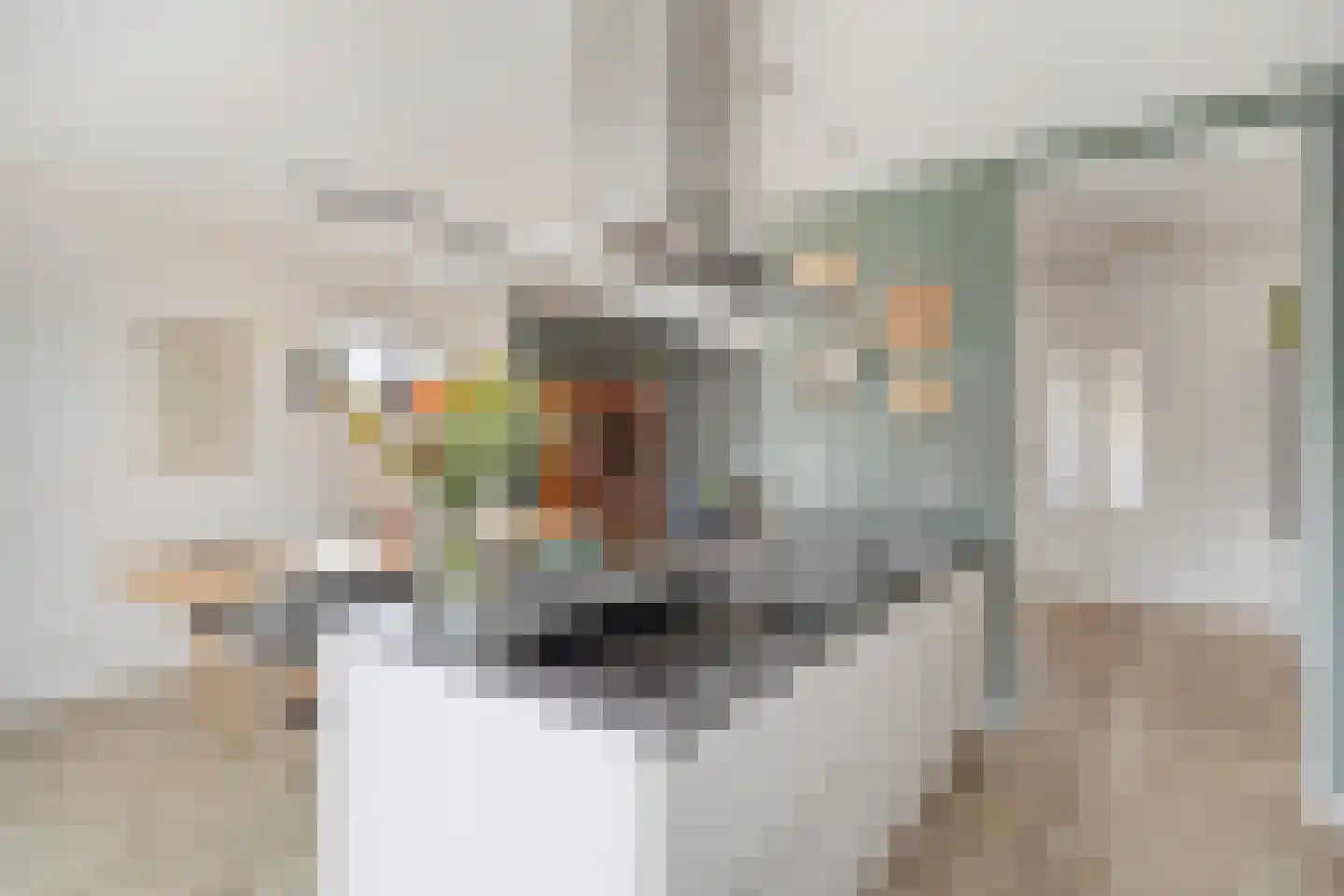 Pater Geraedtsstraat 18 Swalmen thumbnail 17