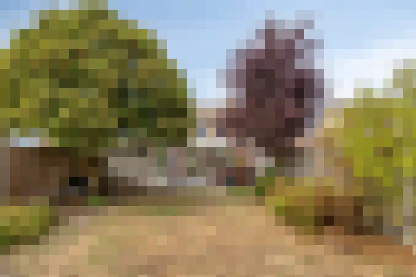 Pater Geraedtsstraat 18 Swalmen thumbnail 4
