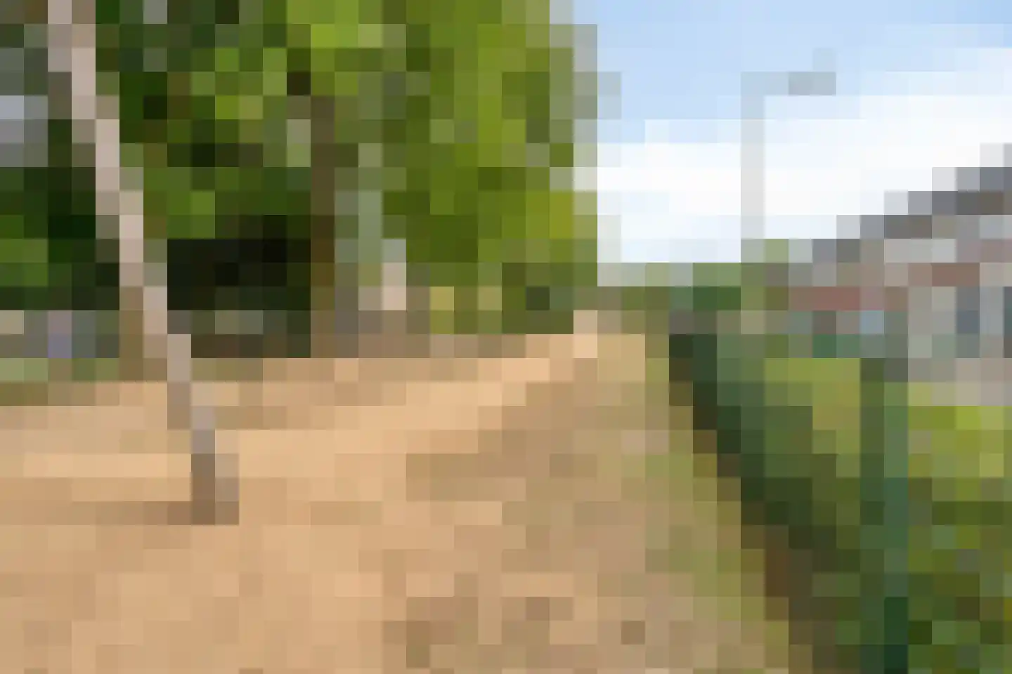 Pater Geraedtsstraat 18 Swalmen thumbnail 43