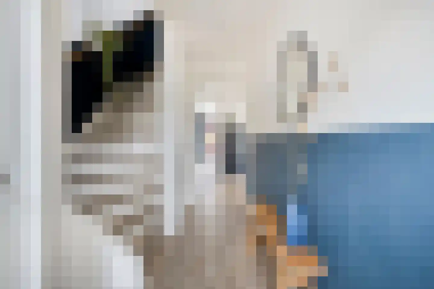 Pater Geraedtsstraat 18 Swalmen thumbnail 5