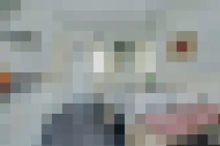 Pater Helmerplein 20 Moergestel thumbnail 12