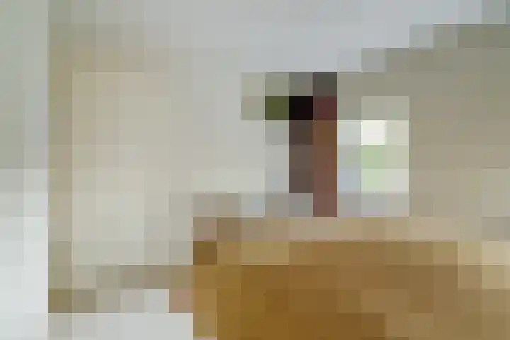 Pater Helmerplein 20 Moergestel thumbnail 25