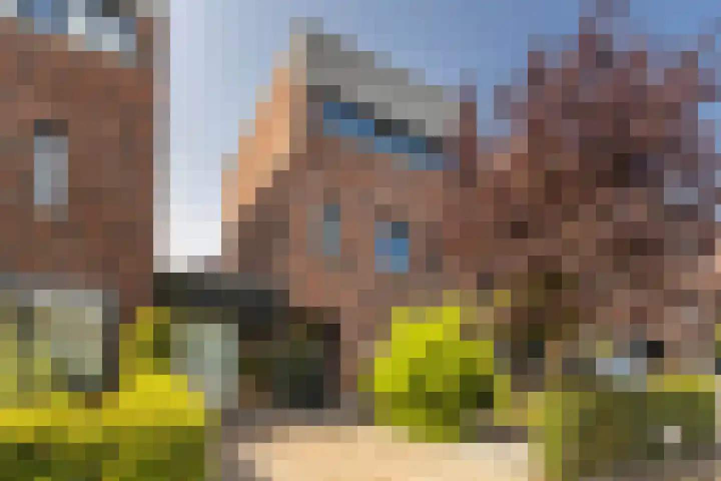 Pater Hubertuscour 13 Geleen thumbnail 39