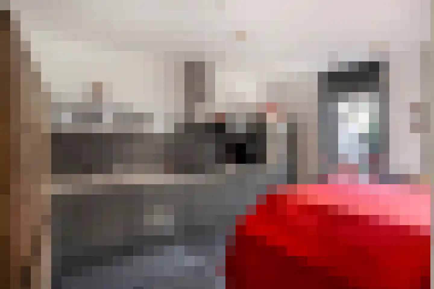 Pater Hubertuscour 5 Geleen thumbnail 19