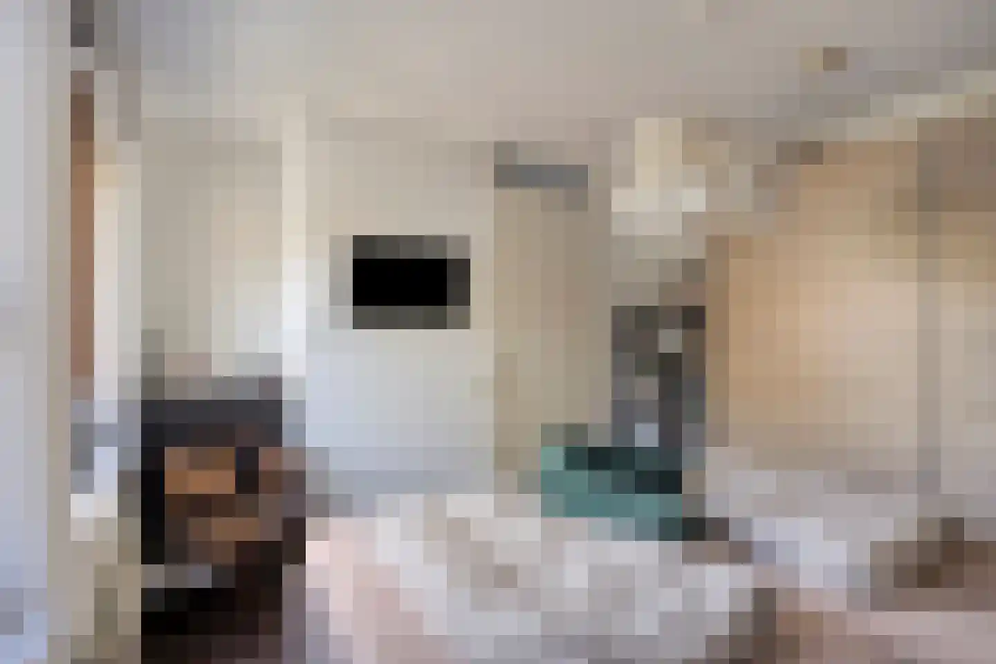 Pater Hubertuscour 5 Geleen thumbnail 25