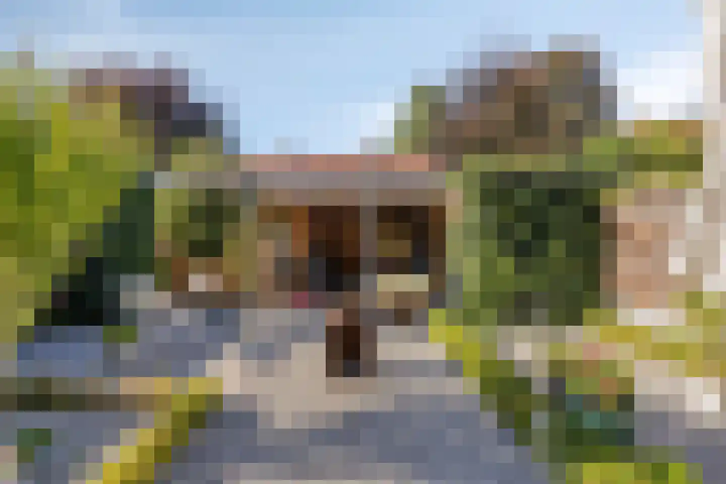 Pater Hubertuscour 5 Geleen thumbnail 33