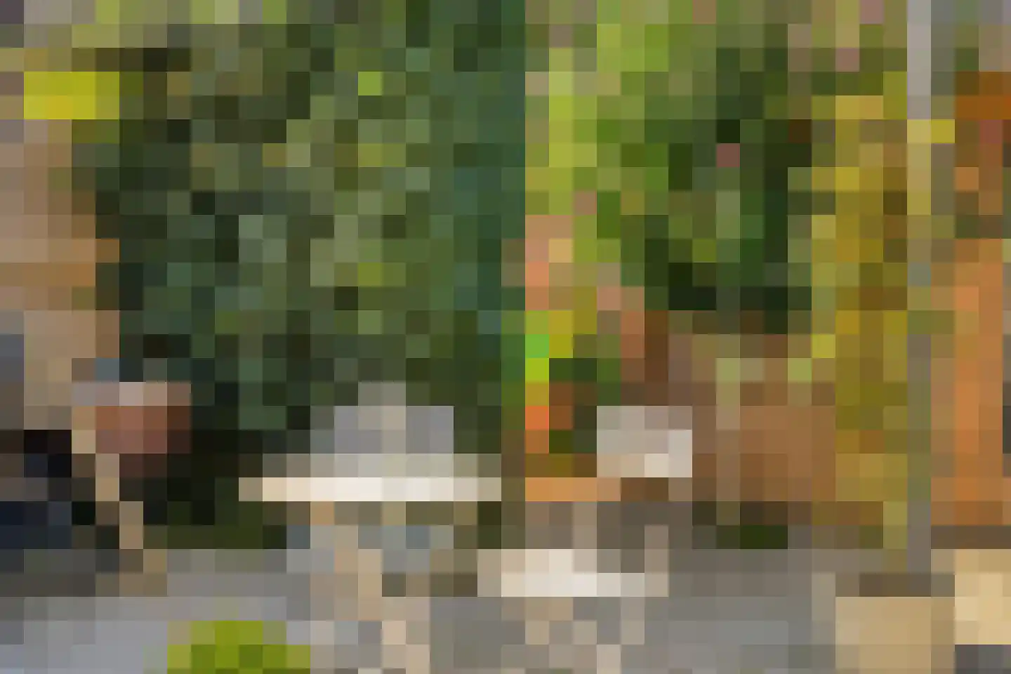 Pater Hubertuscour 5 Geleen thumbnail 34
