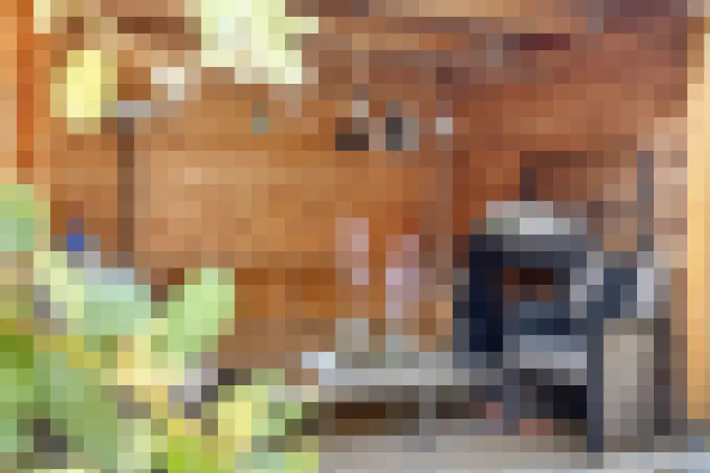 Pater Hubertuscour 5 Geleen thumbnail 35