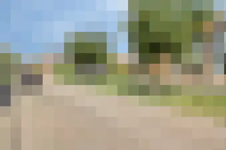 Pater Jan de Vriesstraat 3 Bredevoort thumbnail 23