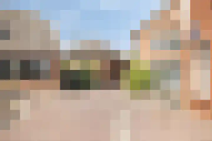 Pater Jan de Vriesstraat 3 Bredevoort thumbnail 24