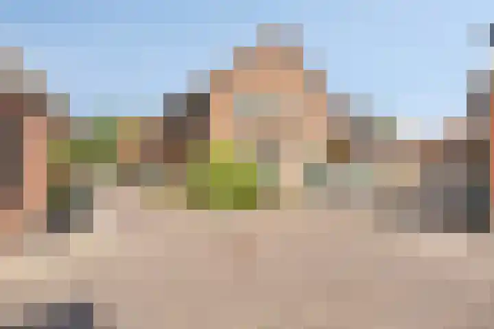 Pater Jan de Vriesstraat 3 Bredevoort thumbnail 25